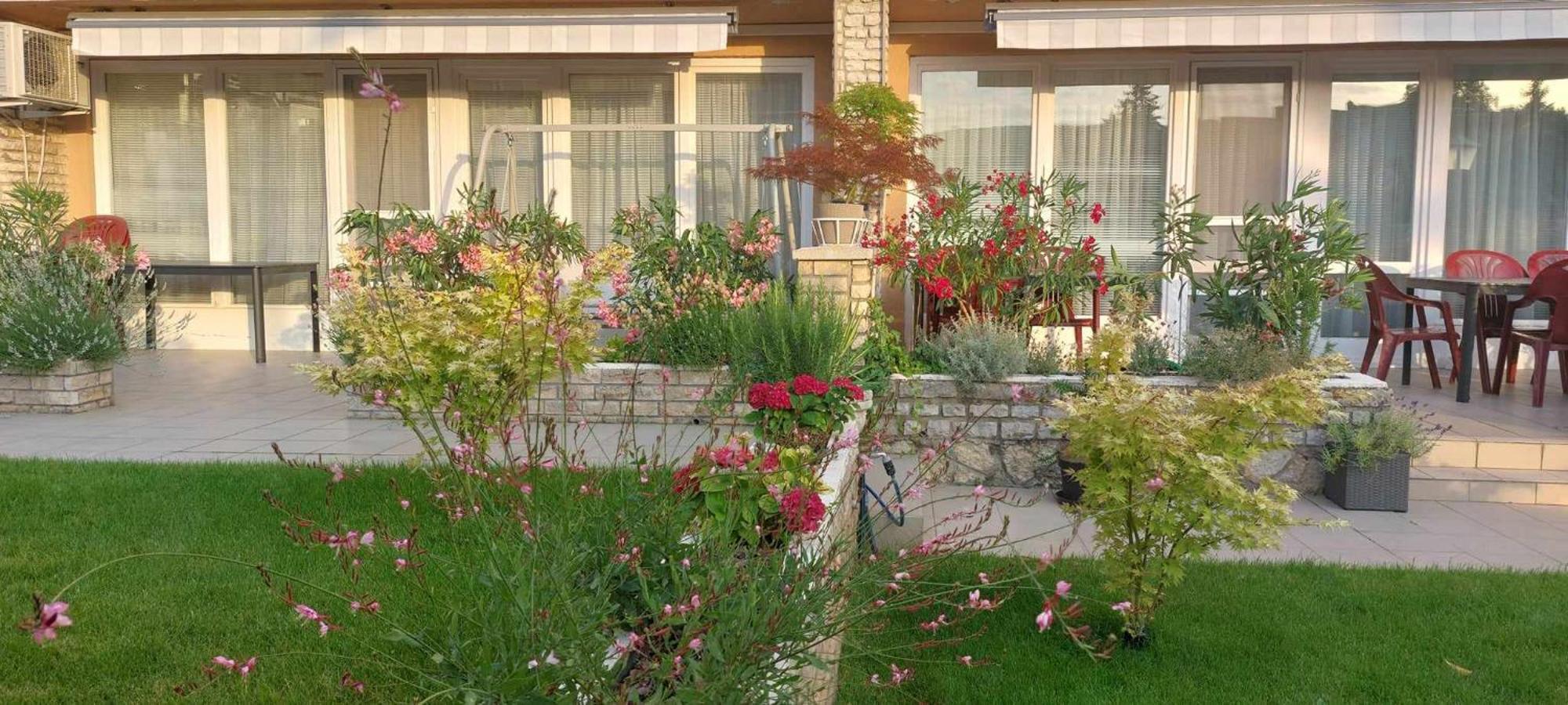 Siesta Apartmanhaz Balatonfuered מראה חיצוני תמונה